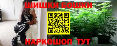 прущие грибы Можга