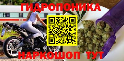 не бодяженный Моздок