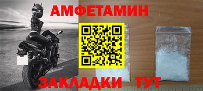 прущие грибы Можга