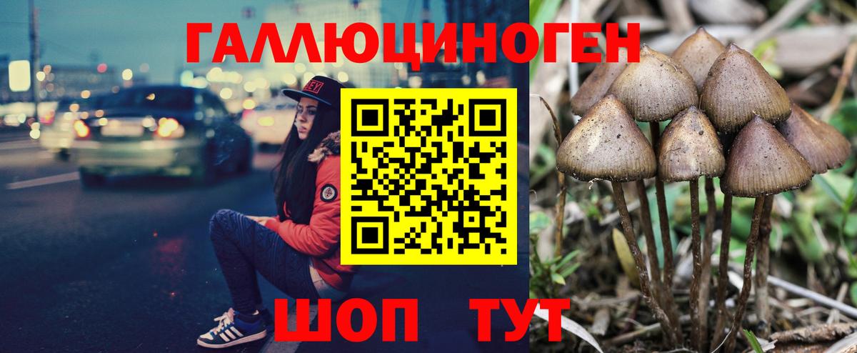 Псилоцибиновые грибы MAGIC MUSHROOMS  Вход с VPN  Тобольск 