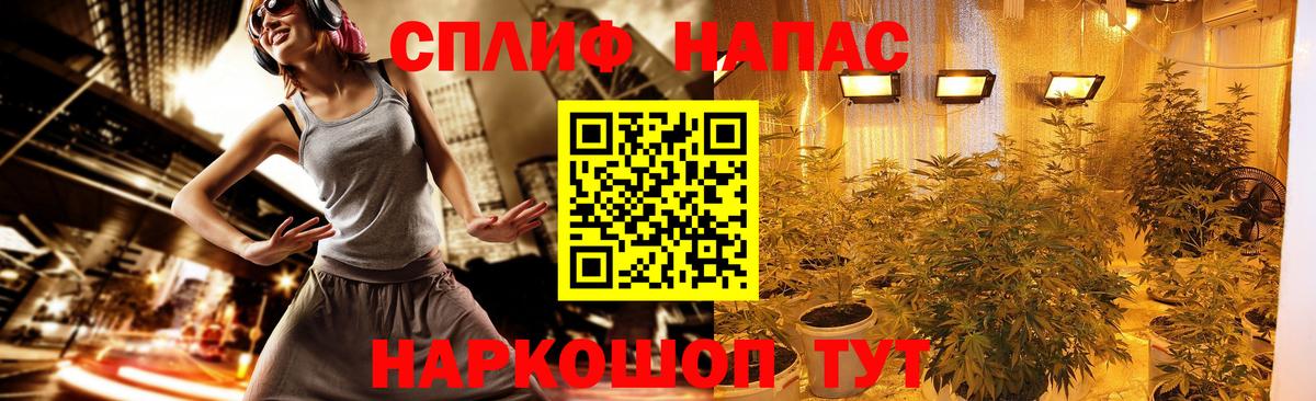 Бошки Шишки AK-47  Каннабис семена  Тобольск  Марихуана гибрид  Вход с VPN  Бошки марихуана White Widow 